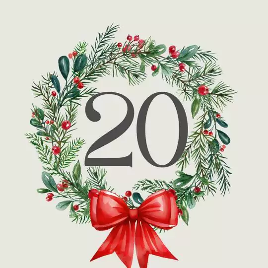 Adventskalender - Tür 20