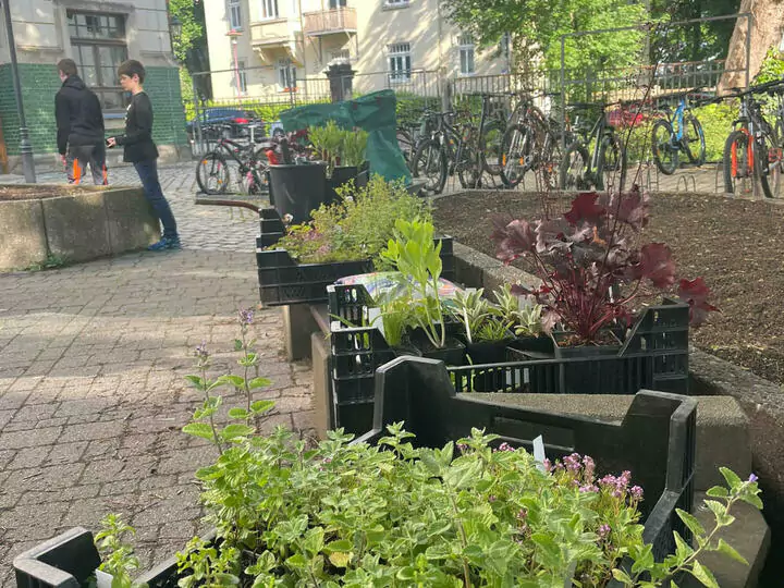 Hochbeete auf dem Schulhof - Ein Projekt der Klasse 6a und Frau Ilgen