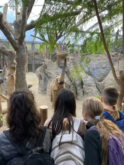 Besuch in der Zooschule